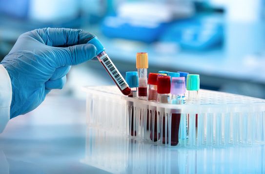 laboratory