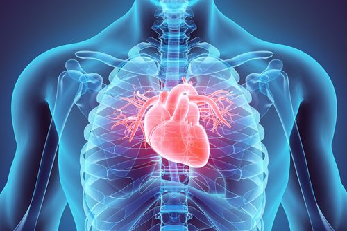heart